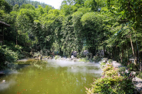 习水桃花苑