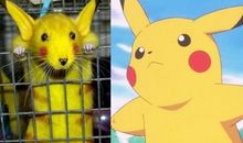 遇见你我便拥有了那绚丽的色彩