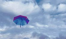 雨中的一把雨伞