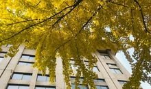 春夏秋冬我都爱