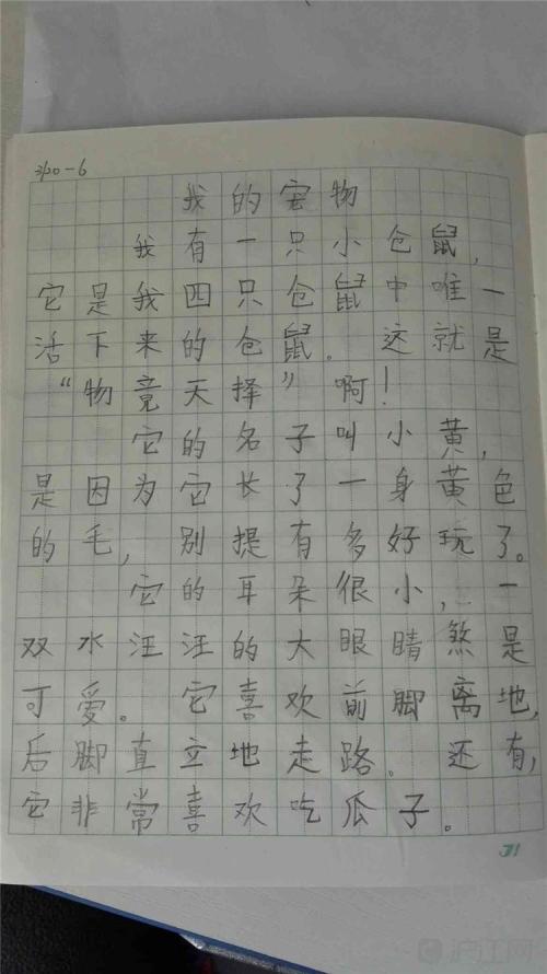 如何写作文