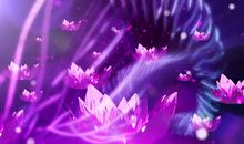 遇见你，花开心间