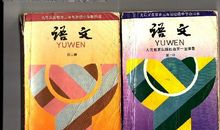 我从书籍中学到了语文