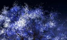 那天，我在树下