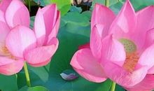 尊严是自己挣来的