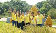 澳大利亚游学之收获