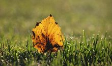 成全自己学会放下