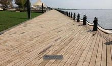 大连木栈道游记