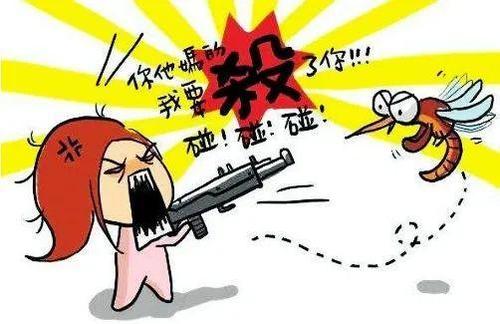 蚊子的自白