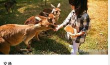 记邢台野生动物园一游