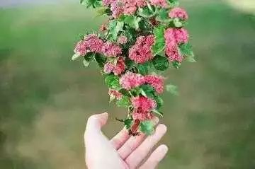 热情