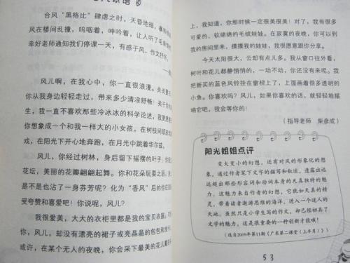 关于姐姐的作文