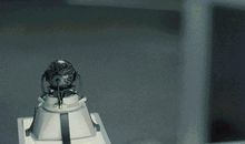 哥哥，请尊重我的选择