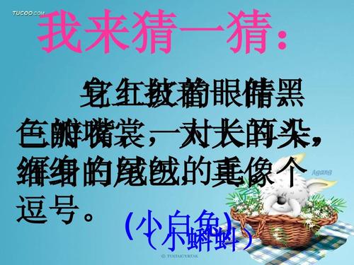 可爱的小动物组成三年级