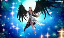 盛夏的翅膀读后感