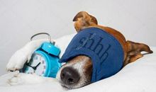 与闹钟化敌为友