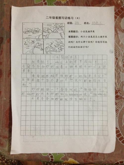 两只老鼠摘苹果