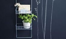 校园里的一道风景线