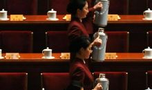 寻找秋天最忙碌的身影