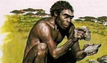 我揭开了什么的秘密