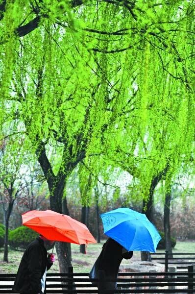 春雨