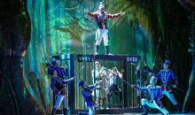 观《想变成人的猫》有感