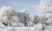 细雪纷飞的路上