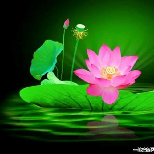 成长离不开鼓励