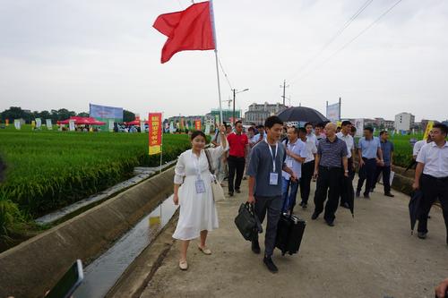 参加学习成果博览会