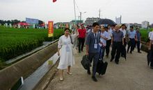 参加学习成果博览会