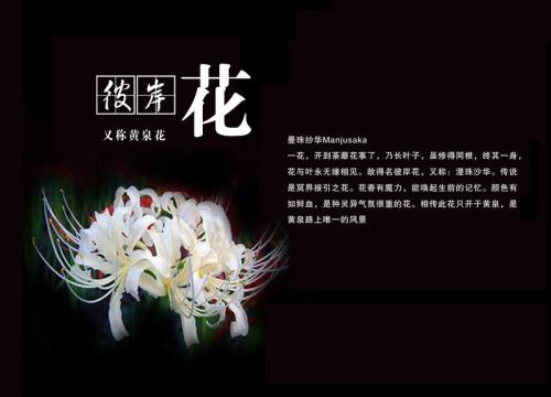 记忆叙事