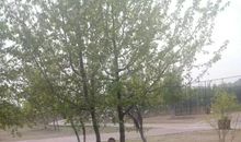 三年级作文一面五星红旗的读后感