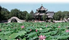 重拾忽略的美好