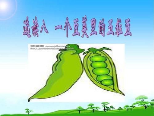 五豆荚