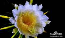 一路上，免不了挫折