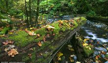 公园的春夏秋冬