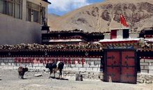 一次惊心动魄的考试