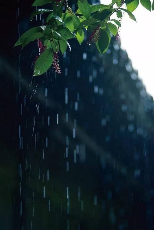 一滴雨