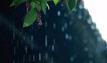 一滴雨水的旅行