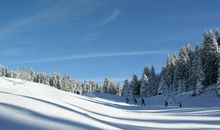 一场赛事，一份思考