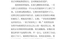 介绍蚂蚁的作文