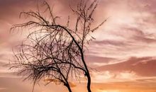 合作的身影最美