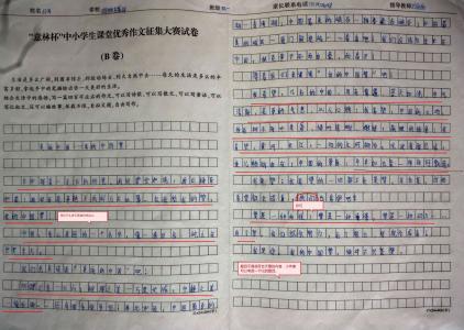 全能蛋壳组成
