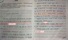 万能的鸡蛋壳作文