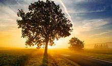 保留那份美好在心底