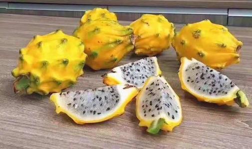 异国水果