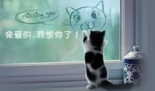 亲爱的自己我想对你说