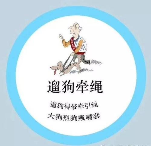 文明的养狗始于我