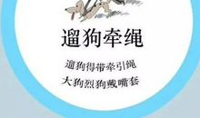 文明养犬从我做起