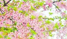 一路上，有爱为伴